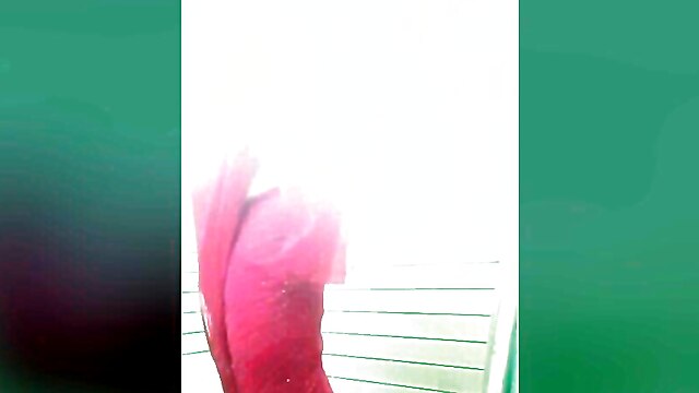 Bbw aunty bath, tits boobs actress naked nude, amateur aunt nephew, nephew and bbw, aunty indian actress, desi mom bath nude video
